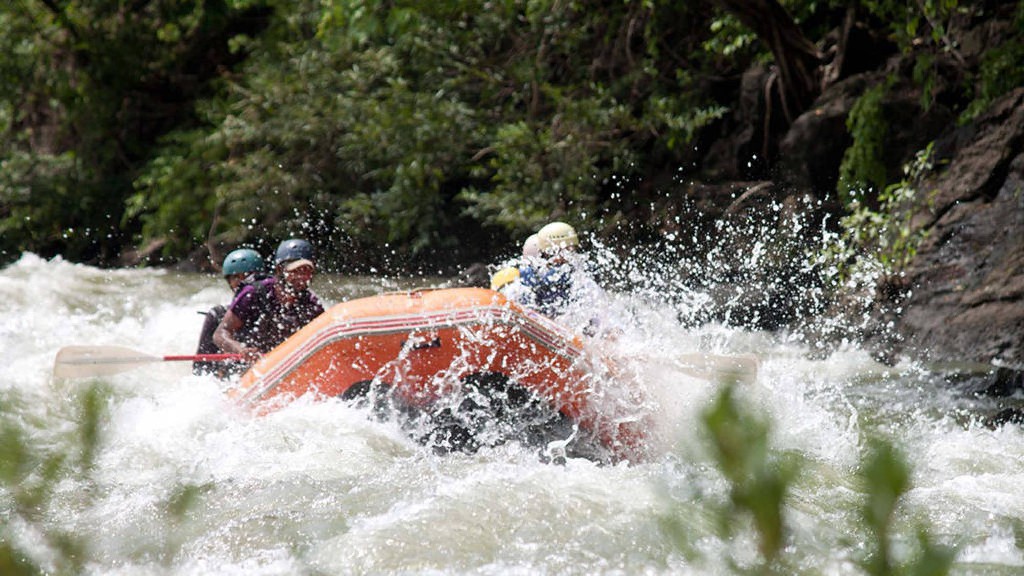 Stop! It's a fish pedestrian crossing.